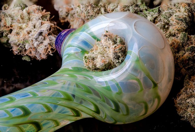 A close up of a glass smoking pipe with THCA flower