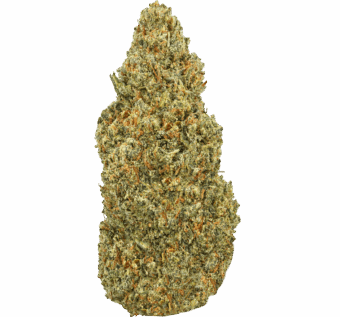 Pineapple-Strain-min (2) Pineapple Strain