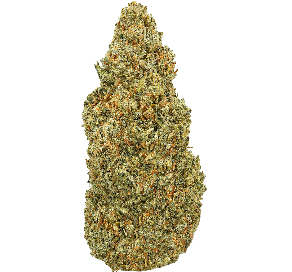 Pineapple Strain
