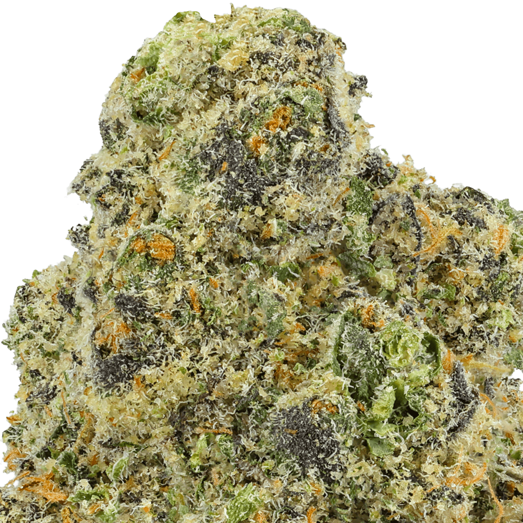 Purple Zkittlez Strain