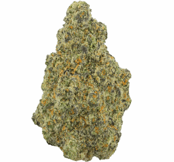 Purple-Zkittlez-Strain-min (1) Purple Zkittlez Strain