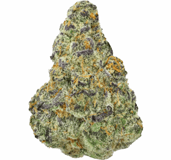 Red-Vines-Strain Red Vines Strain