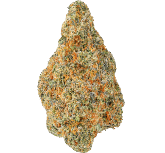 Rum Cake Strain