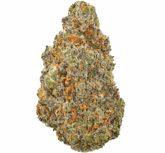 Apple-Blossom-Strain Apple Blossom Strain