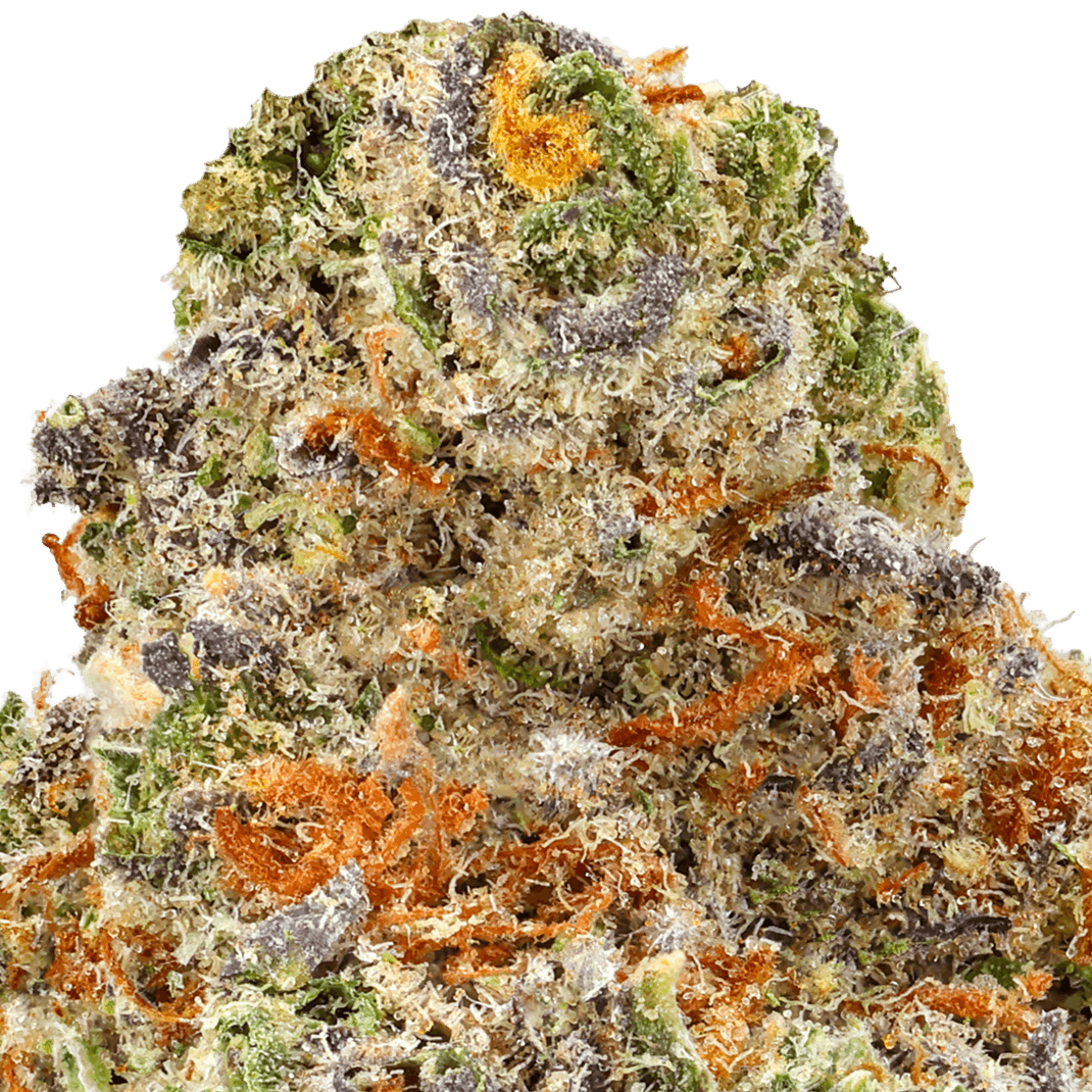 Apple Blossom Strain