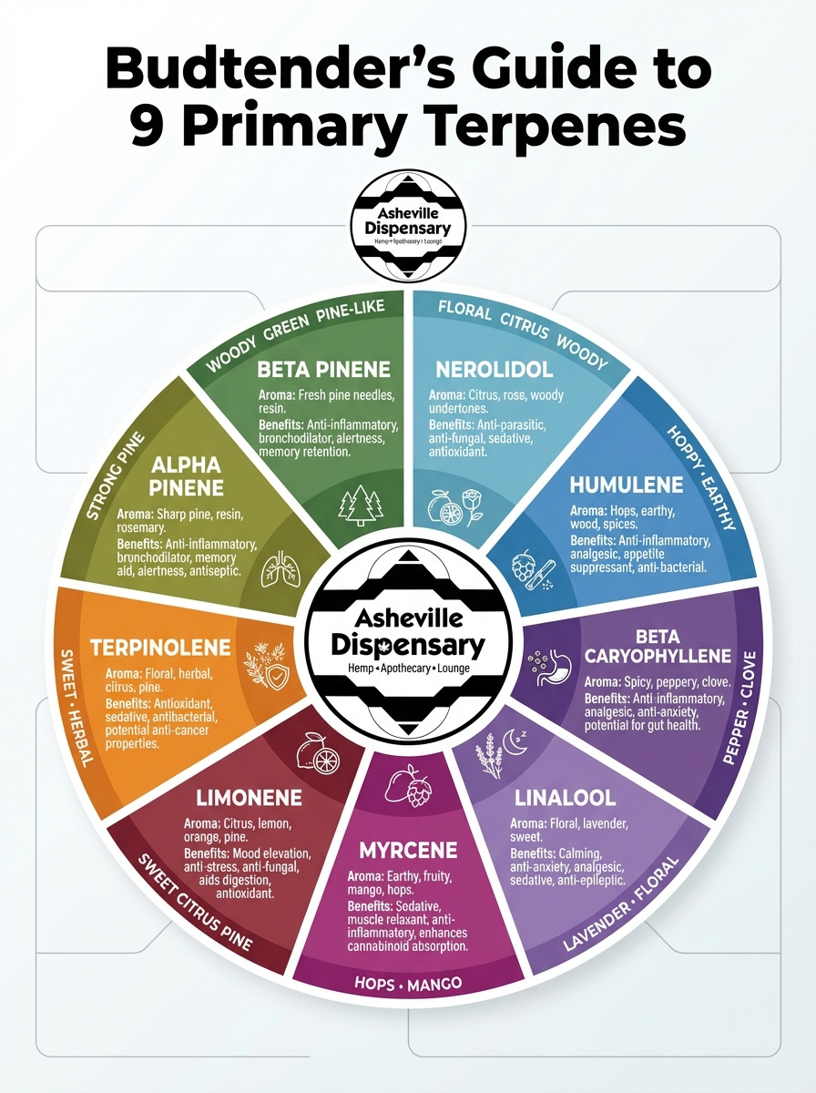 The 9 primary terpenes found in cannabis—each creating unique effects, aromas, and therapeutic benefits.