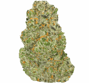 Banana Zkittlez Strain