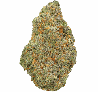 Blueberry-Muffin-Strain (1) Blueberry Muffin Strain