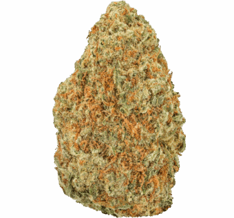 Blueberry-Muffin-Strain (2) Blueberry Muffin Strain