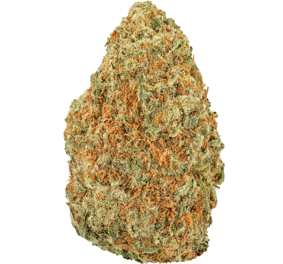 Blueberry Muffin Strain