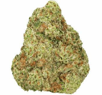 Blueberry Muffin Strain