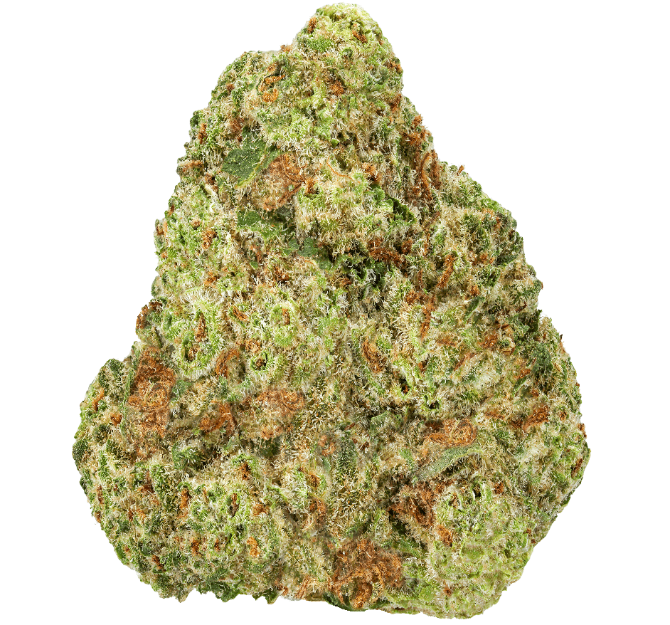 Blueberry Muffin Strain