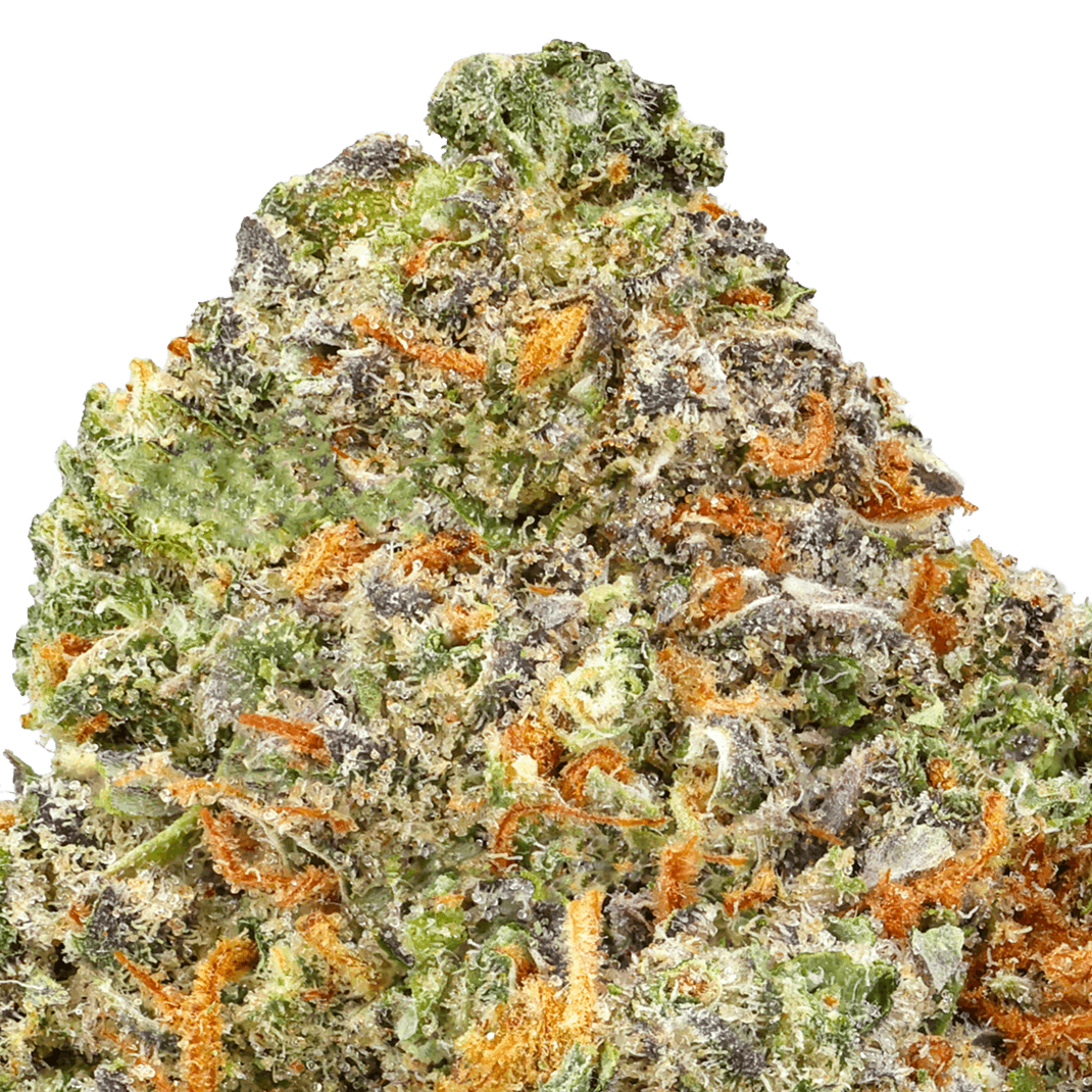 Blueberry Muffin Strain