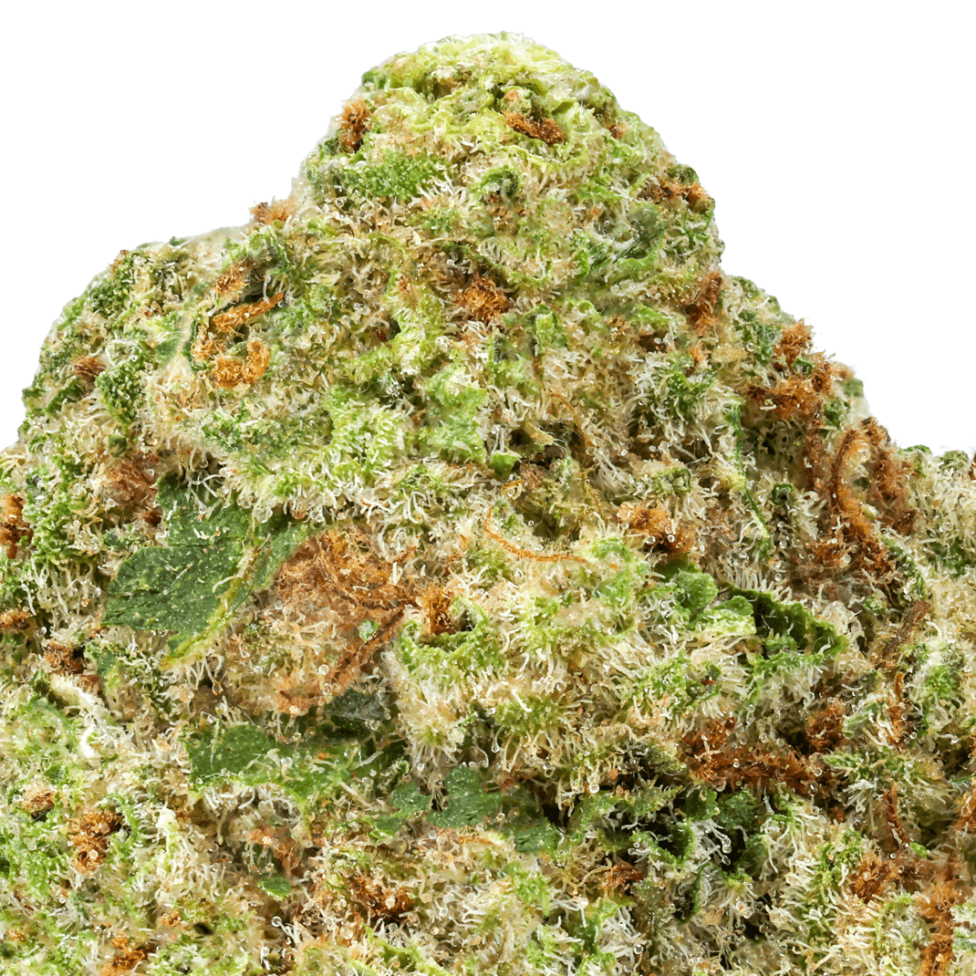 Blueberry Muffin Strain
