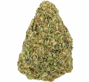Bubblegum Strain