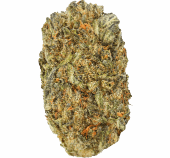 Cadillac Rainbow Strain