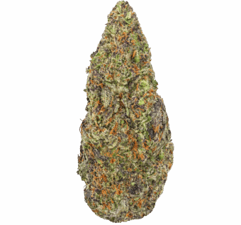 Gary-Peyton-Strain Gary Peyton Strain