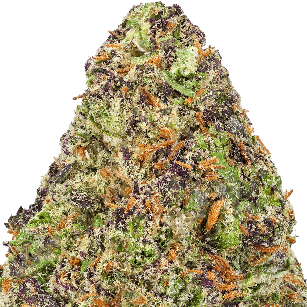 Gary-Peyton-Strain-Macro Gary Peyton Strain