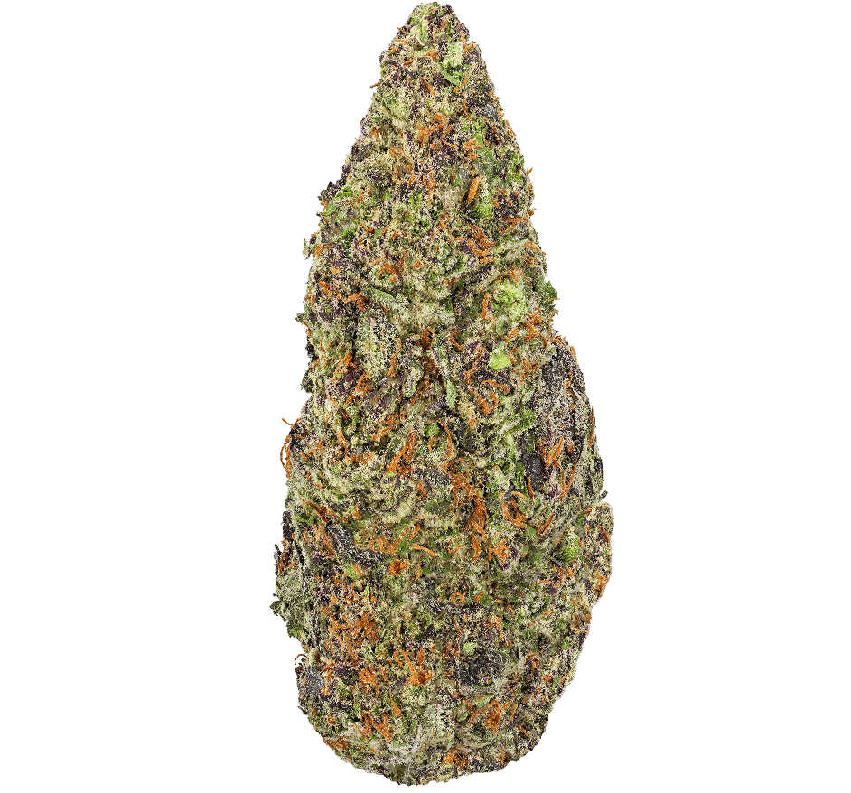 Gary-Peyton-Strain Gary Peyton Strain