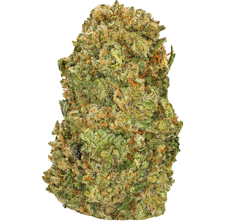 Ice-Cream-Cookie-Strain (1) Ice Cream Cookies Strain