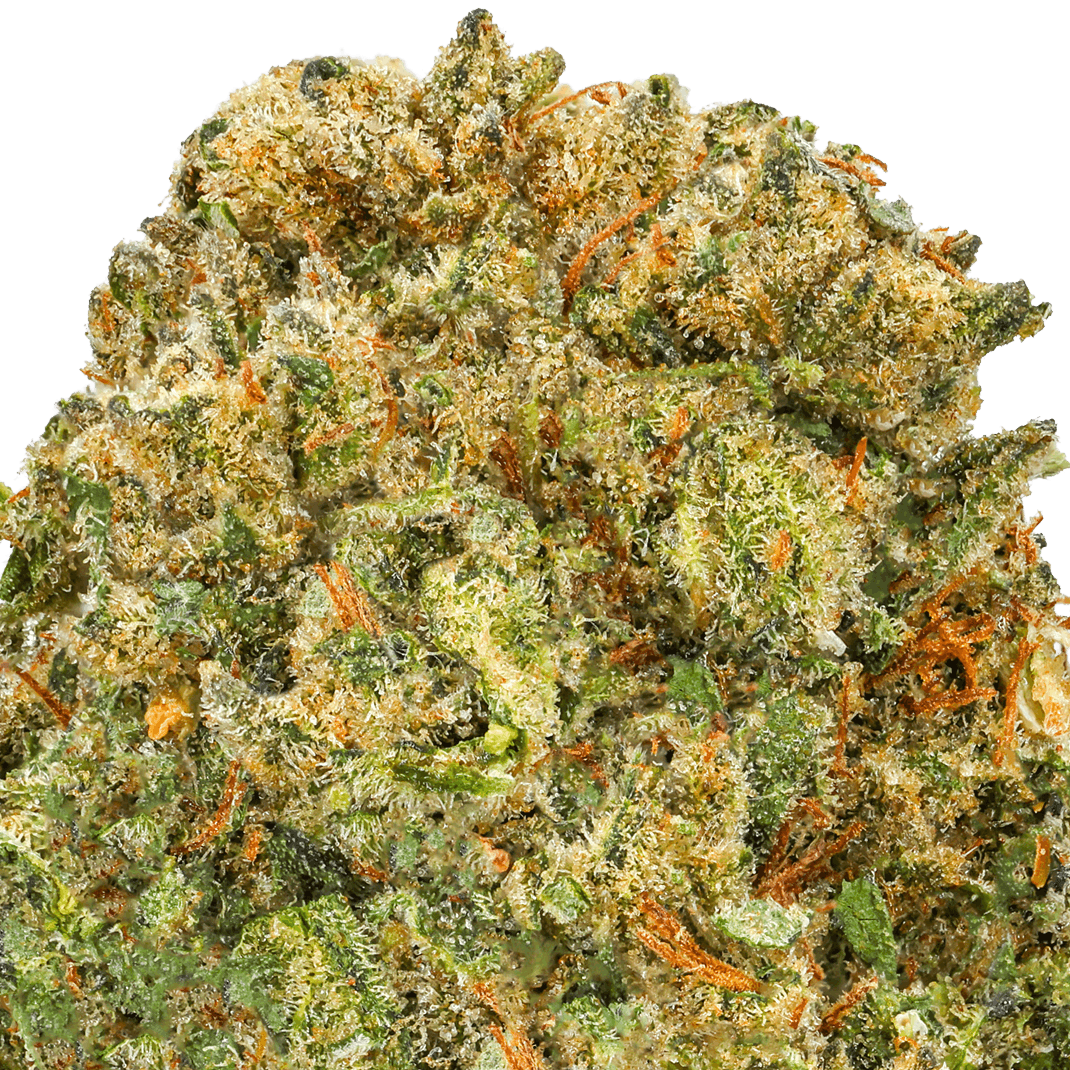 Ice-Cream-Cookie-Strain-macro (1) Ice Cream Cookies Strain