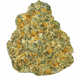 Juicy-Fruit-Strain (1) Juicy Fruit Strain