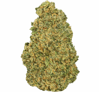 Hash Burger Strain