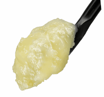 Lemon-Shortbread-thca-live-rosin-1 Lemon Shortbread THCA Live Rosin