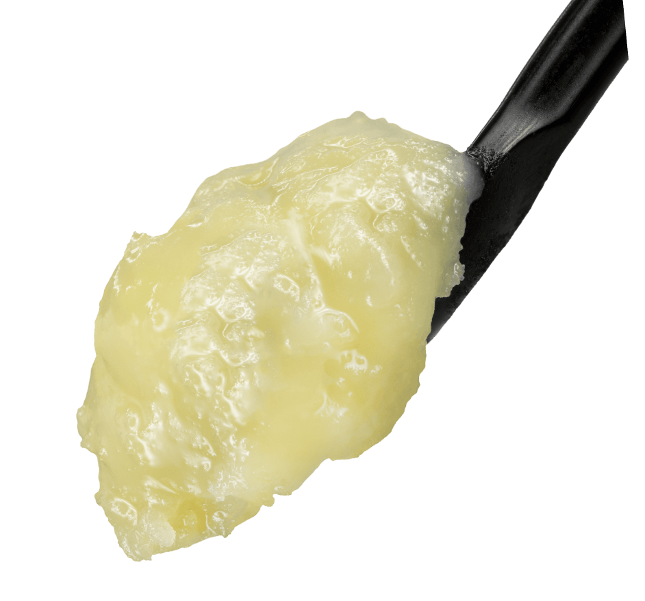 Lemon Shortbread THCA Live Rosin