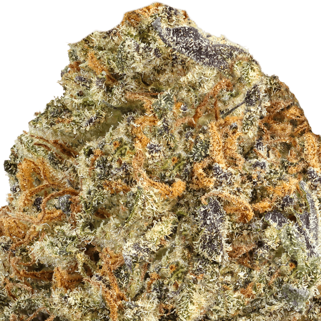 Pablos-Revenge-Strain-Macro Pablo's Revenge Strain