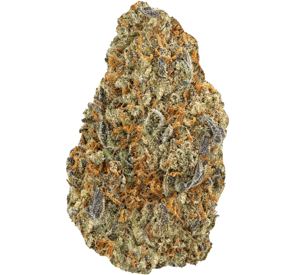 Pablos-Revenge-Strain Pablo's Revenge Strain