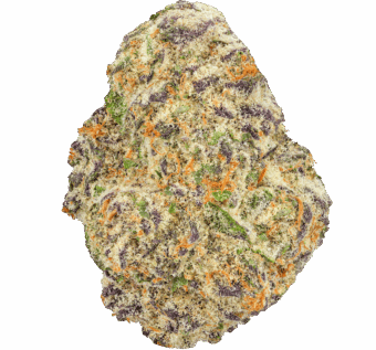 Purple-Ice-Pop-Strain Purple Ice Pop Strain