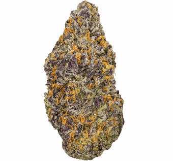Sherblato Strain