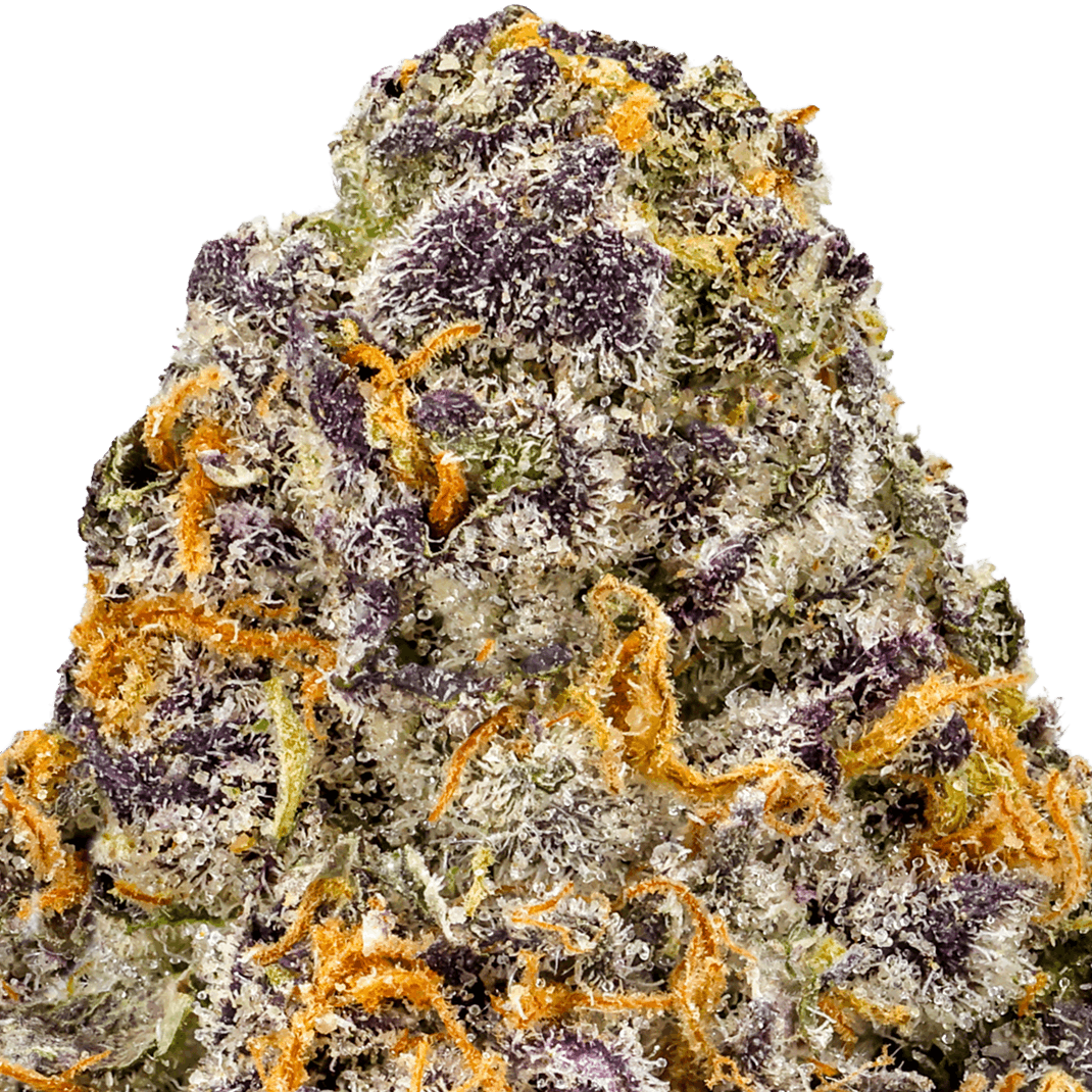 Sherblato-Strain-Macro Sherblato Strain