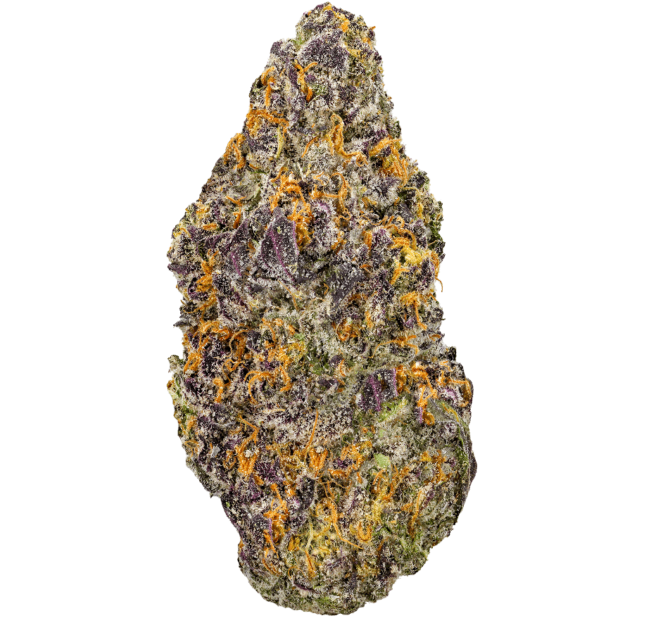 Sherblato-Strain Sherblato Strain