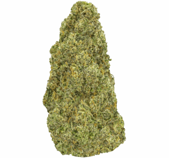 Slapz Strain