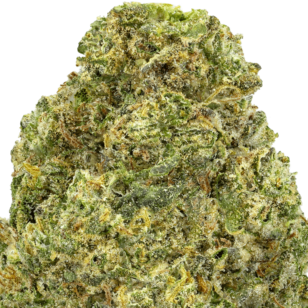 Slapz-Strain-Macro Slapz Strain