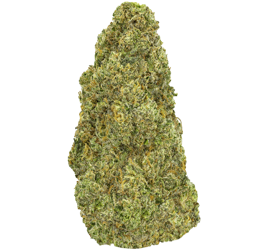Slapz-Strain Slapz Strain