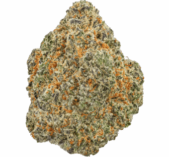 Super Sour Lemon Strain