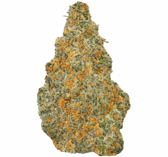 Tangie-Strain (1) Tangie Strain