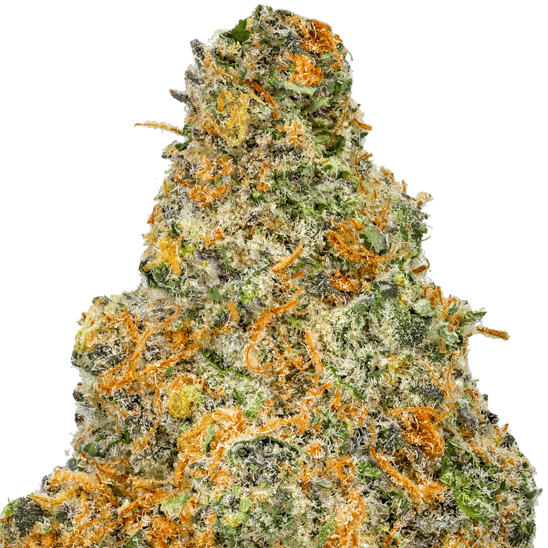 Tangie Strain