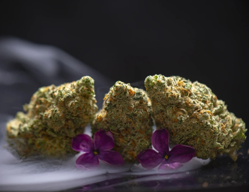 Exotic THCA flower
