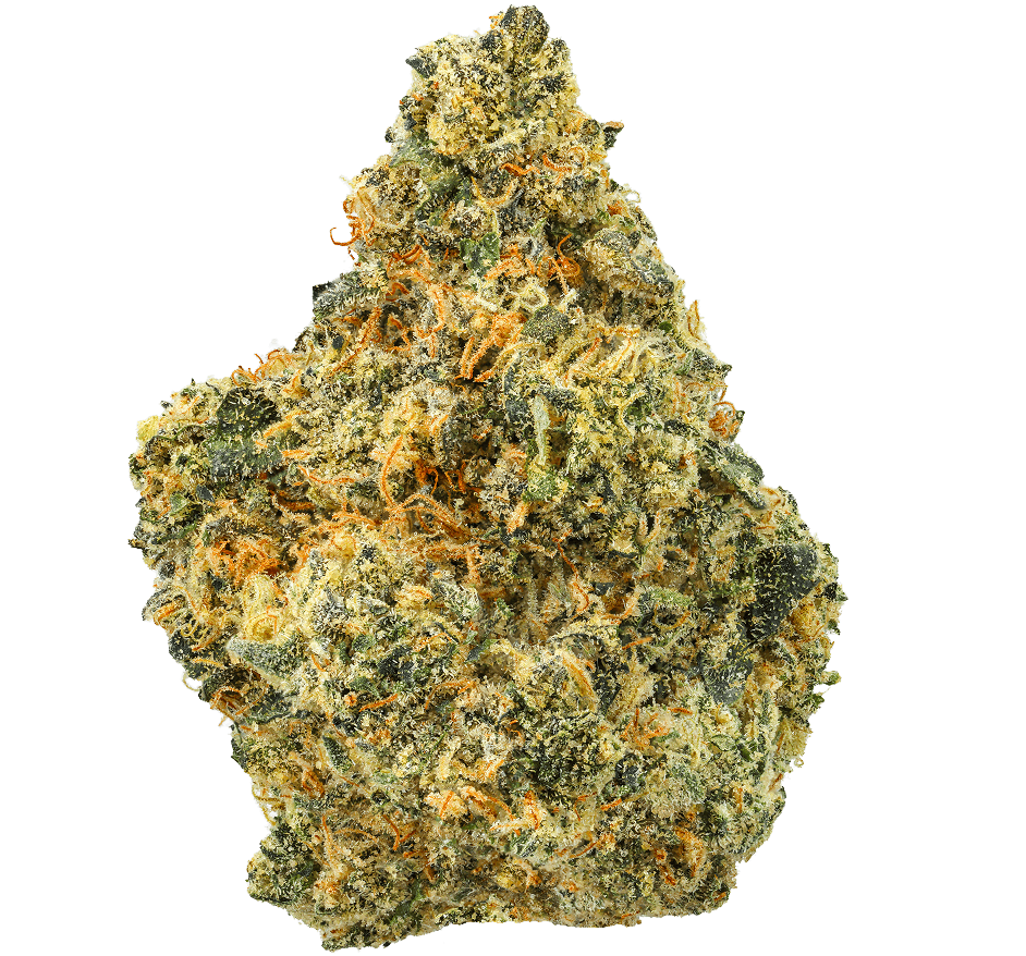 Astronaut Status 24 Strain