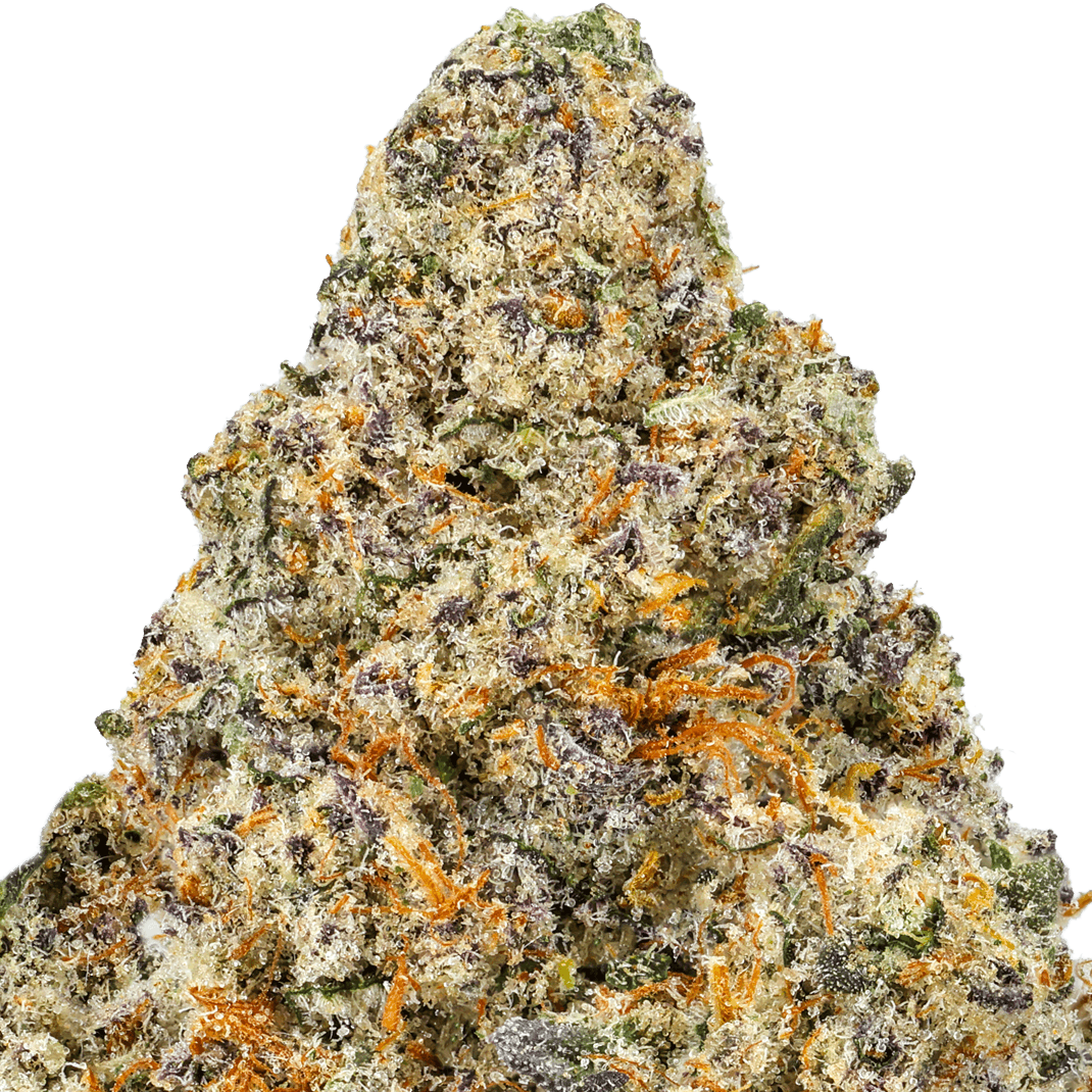 Big-Gorilla-Mac-Strain-macro Big Gorilla MAC Strain