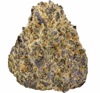 Black-Truffle-Strain (1) Black Truffle Strain