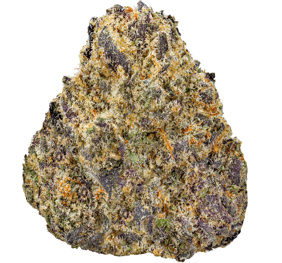 Black Truffle Strain