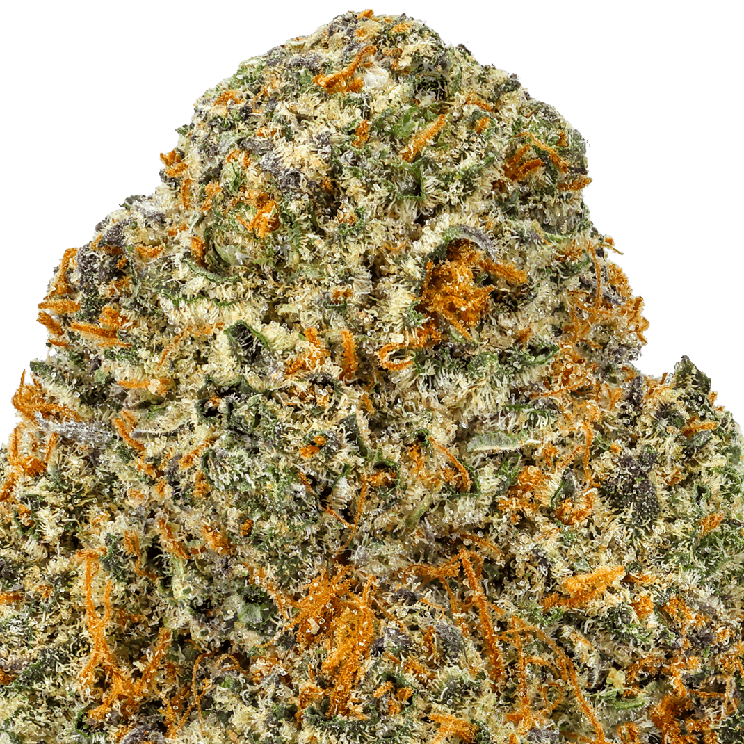 Blue-Limon-Strain-macro Blue Limon Strain