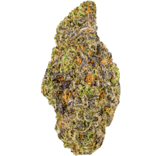 Blue Sharpie Strain