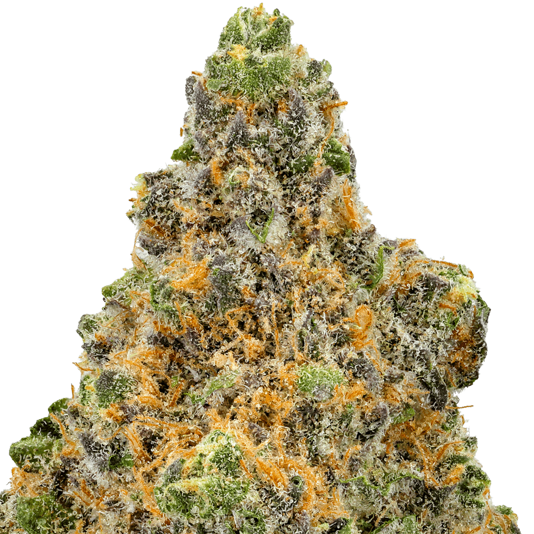 Blueberry Muffin Strain