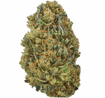 Blueberry Zkittlez Strain